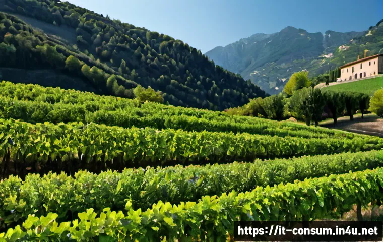 소비자전문기술사의 커뮤니케이션 스킬 관련 이미지 2