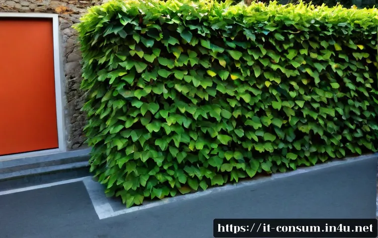 Tutela dei consumatori nel mondo: casi utili, differenze e criteri per scegliere con più sicurezza 4 소비자 보호와 관련된 글로벌 사례 분석 관련 이미지 2